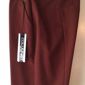 Express columnist ankle pants